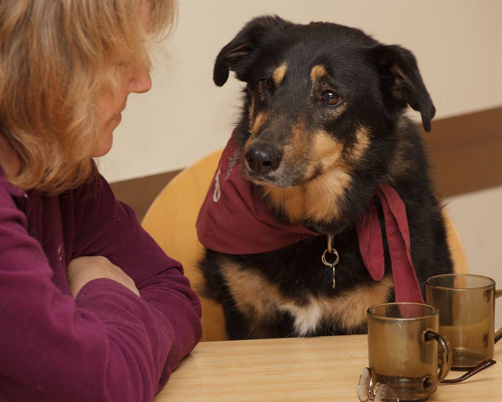 13925438_916408318471383_7685602230775972966_o